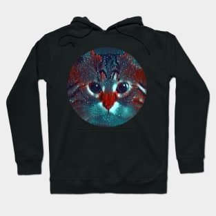 Curious mycat, revolution for cats Hoodie